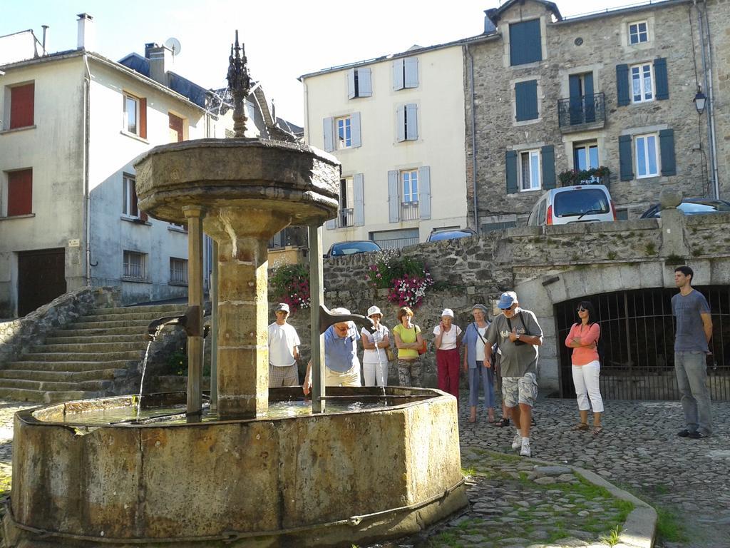 Gite "Les Hortensias" Au Coeur De Lacaune Esterno foto